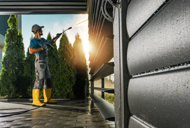 Best Roof Pressure Washing  in Pingree Grove, IL