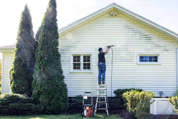Best Residential Pressure Washing Services  in Pingree Grove, IL