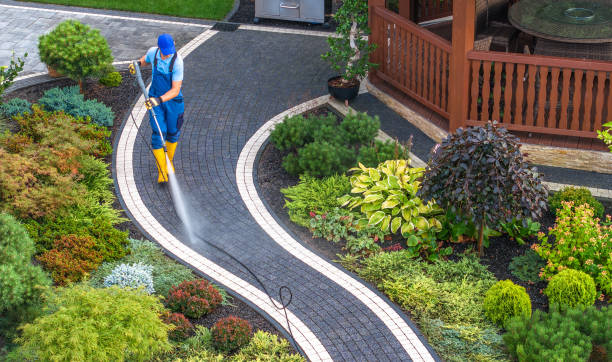 Best Affordable Pressure Washing  in Pingree Grove, IL