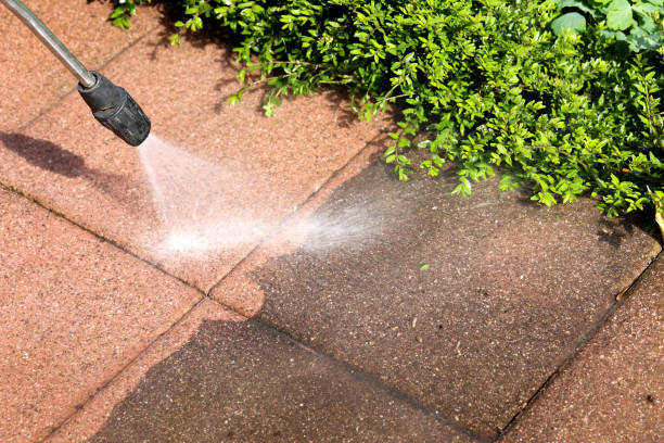 Reliable Pingree Grove, IL Pressure Washing Solutions